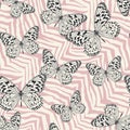 Seamless vector multicolor butterflies pattern. Butterfly on zebra print. Trendy animal motif wallpaper. Fashionable background